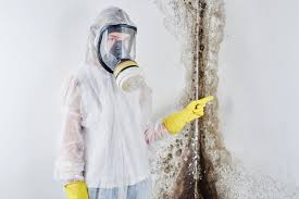 Reliable Bonifay, FL Mold Inspection Solutions